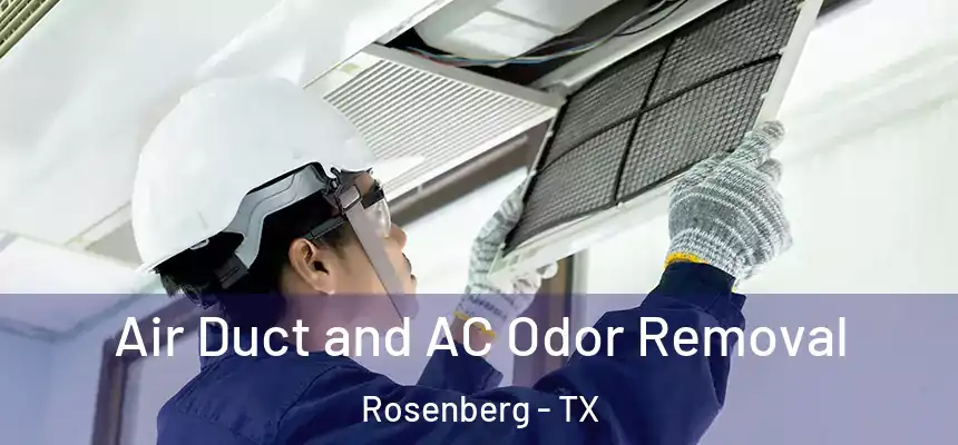 Air Duct and AC Odor Removal Rosenberg - TX
