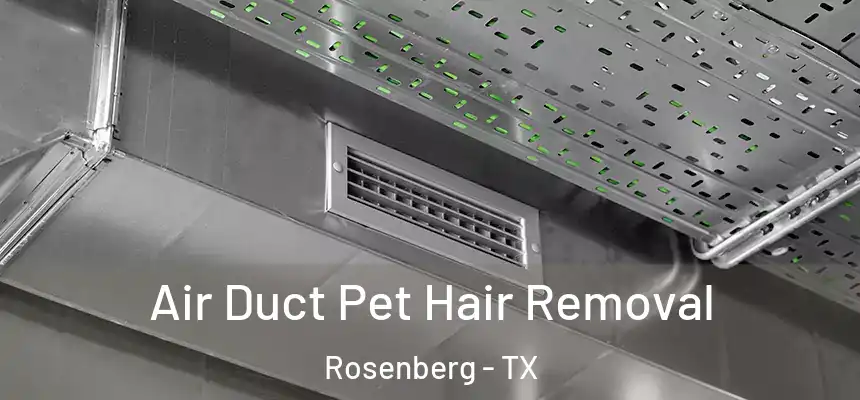  Air Duct Pet Hair Removal Rosenberg - TX