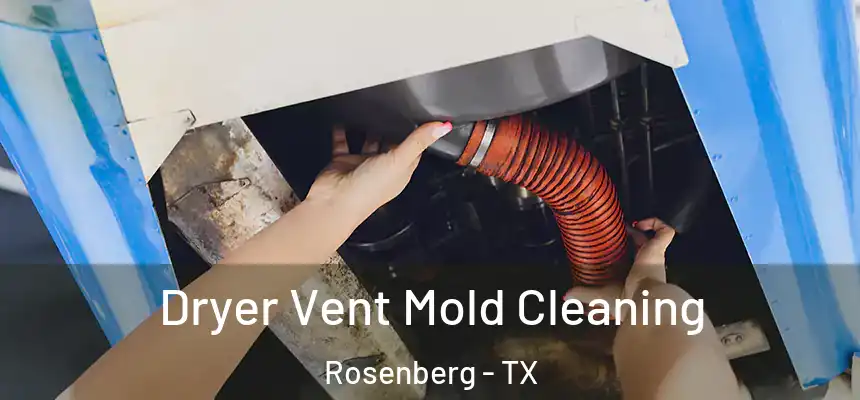 Dryer Vent Mold Cleaning Rosenberg - TX