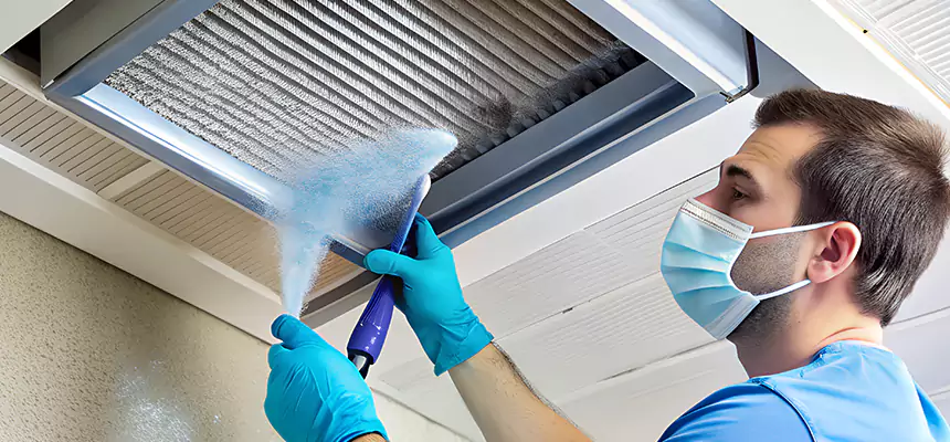 Proactive Dryer Vent & Auxiliary Duct Pollen Cleanup in Rosenberg, TX