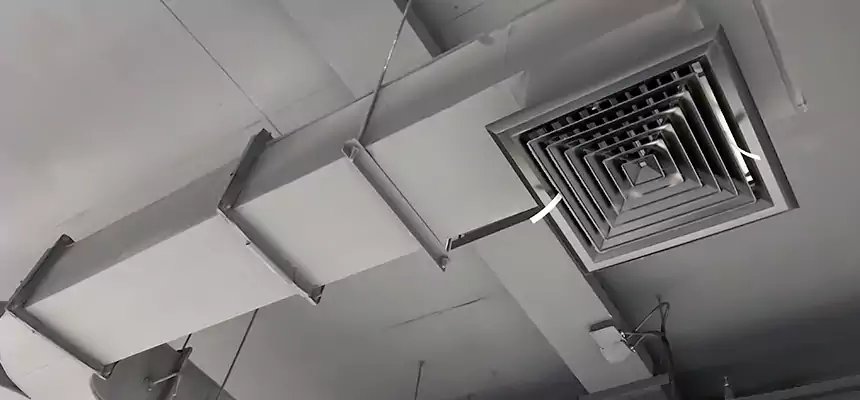 Restorative Allergy Relief Vent Cleaning – Coil, Blower & Housing Detail in Rosenberg