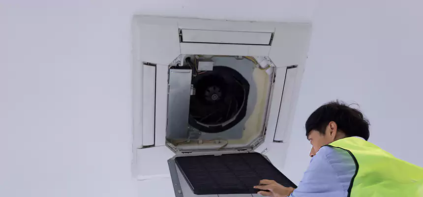 Our Dryer Vent Sanitization Service Services in Rosenberg, TX