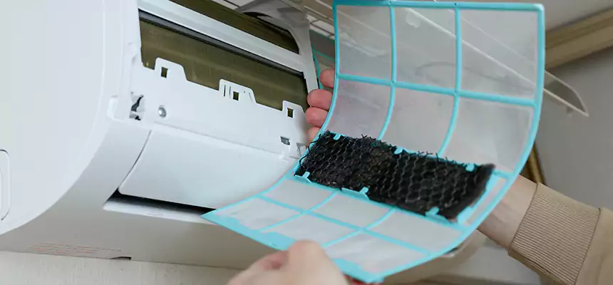 Gentle Ductwork Odor-Control Pet Dander Duct Cleaning in Rosenberg, TX