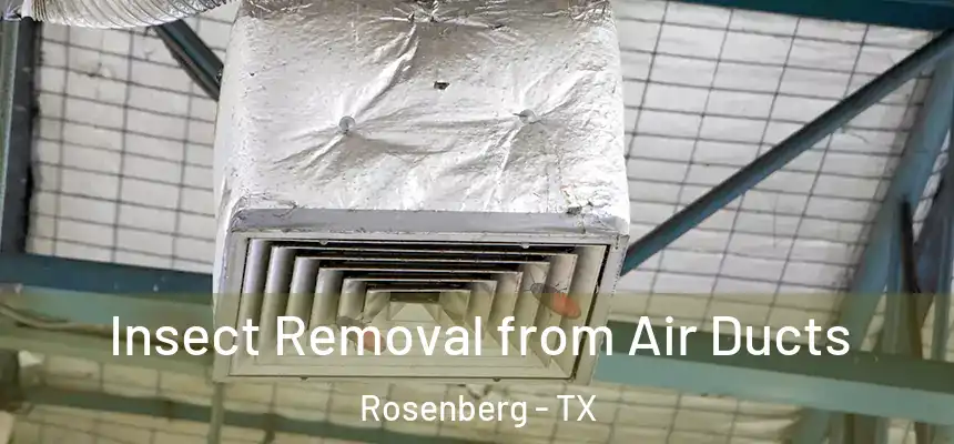 Insect Removal from Air Ducts Rosenberg - TX