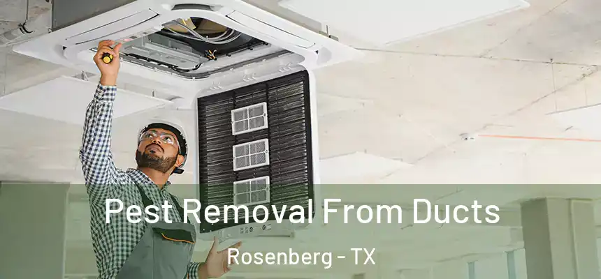 Pest Removal From Ducts Rosenberg - TX