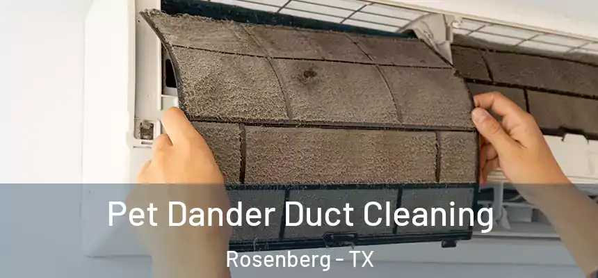  Pet Dander Duct Cleaning Rosenberg - TX