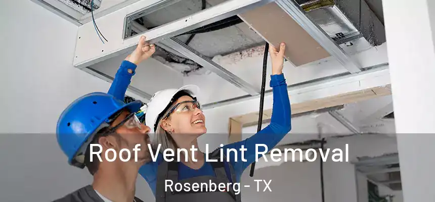 Roof Vent Lint Removal Rosenberg - TX