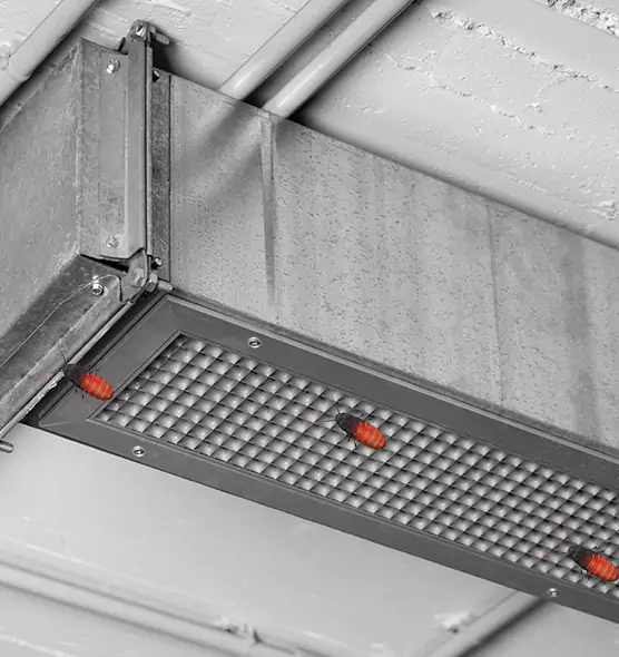 About Air Duct Cockroach Removal in Rosenberg, TX