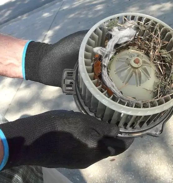 About Air Duct Rat Removal in Rosenberg, TX