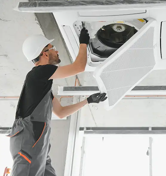 About Air Duct Rodent Removal in Rosenberg, TX