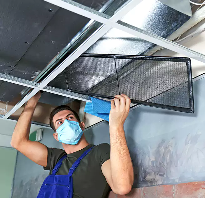 Why Homeowners Businesses Trust Us in Rosenberg, TX