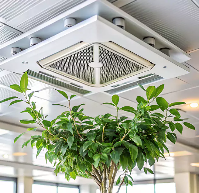 Why Homeowners & Businesses Trust Us in Rosenberg, TX?