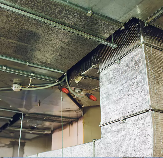 Why Homeowners & Businesses Trust Us Rosenberg, TX?