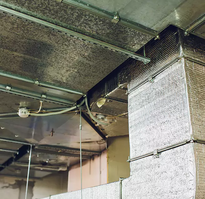 Why Homeowners & Businesses Trust Us in Rosenberg, TX?